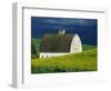 White Barn and Canola Field-Darrell Gulin-Framed Premium Photographic Print