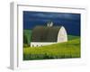 White Barn and Canola Field-Darrell Gulin-Framed Photographic Print