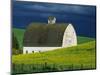 White Barn and Canola Field-Darrell Gulin-Mounted Photographic Print