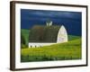 White Barn and Canola Field-Darrell Gulin-Framed Photographic Print