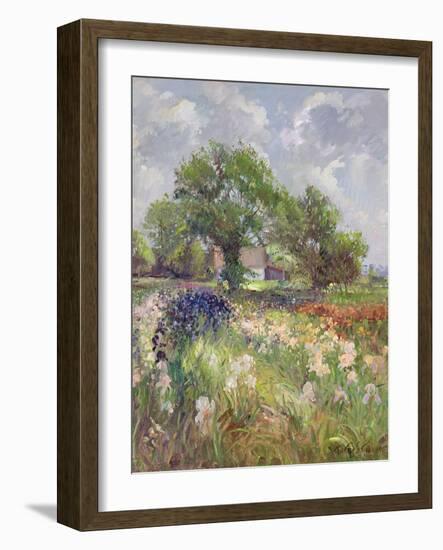 White Barn and Iris Field, 1992-Timothy Easton-Framed Giclee Print