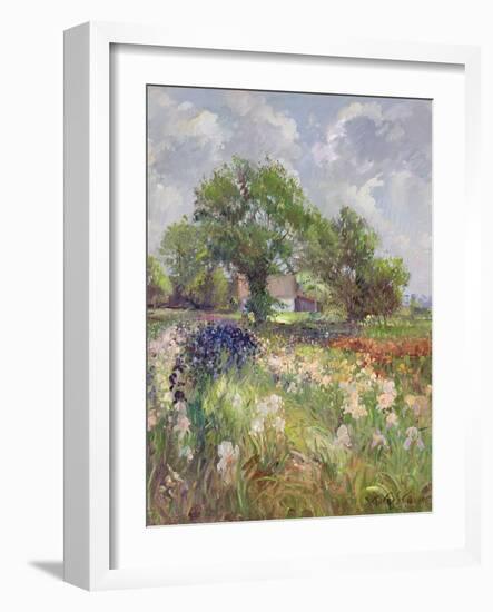 White Barn and Iris Field, 1992-Timothy Easton-Framed Giclee Print