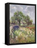 White Barn and Iris Field, 1992-Timothy Easton-Framed Stretched Canvas