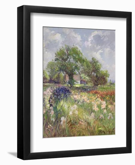 White Barn and Iris Field, 1992-Timothy Easton-Framed Giclee Print