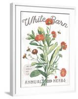 White Barn Flowers IV-Sue Schlabach-Framed Art Print