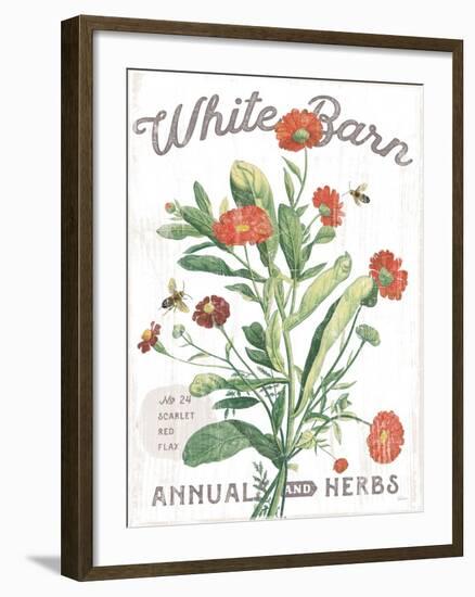 White Barn Flowers IV-Sue Schlabach-Framed Art Print