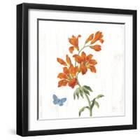 White Barn Flowers VII Sq-Sue Schlabach-Framed Art Print