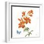 White Barn Flowers VII Sq-Sue Schlabach-Framed Art Print