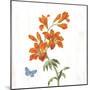 White Barn Flowers VII Sq-Sue Schlabach-Mounted Art Print