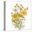 White Barn Flowers X Sq-Sue Schlabach-Stretched Canvas