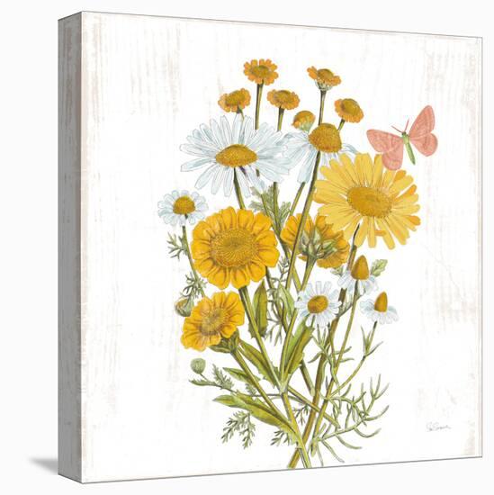 White Barn Flowers X Sq-Sue Schlabach-Stretched Canvas