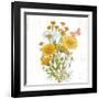 White Barn Flowers X Sq-Sue Schlabach-Framed Art Print