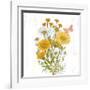 White Barn Flowers X Sq-Sue Schlabach-Framed Art Print