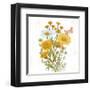 White Barn Flowers X Sq-Sue Schlabach-Framed Art Print