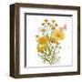 White Barn Flowers X Sq-Sue Schlabach-Framed Art Print