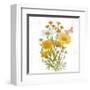 White Barn Flowers X Sq-Sue Schlabach-Framed Art Print