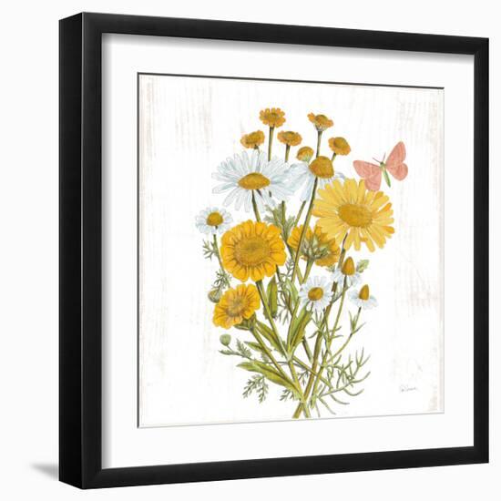 White Barn Flowers X Sq-Sue Schlabach-Framed Art Print