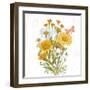 White Barn Flowers X Sq-Sue Schlabach-Framed Art Print