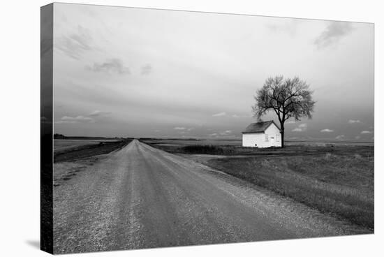 White Barn in Remote Rural Location-Rip Smith-Stretched Canvas