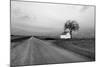 White Barn in Remote Rural Location-Rip Smith-Mounted Photographic Print