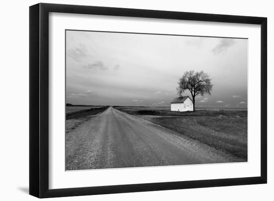 White Barn in Remote Rural Location-Rip Smith-Framed Photographic Print