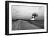 White Barn in Remote Rural Location-Rip Smith-Framed Photographic Print