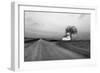 White Barn in Remote Rural Location-Rip Smith-Framed Photographic Print
