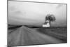 White Barn in Remote Rural Location-Rip Smith-Mounted Photographic Print