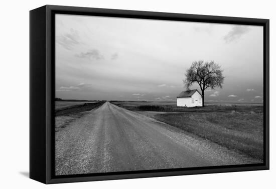 White Barn in Remote Rural Location-Rip Smith-Framed Stretched Canvas
