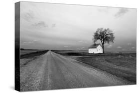 White Barn in Remote Rural Location-Rip Smith-Stretched Canvas