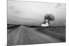 White Barn in Remote Rural Location-Rip Smith-Mounted Photographic Print