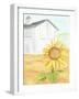 White Barn Sunflower-Cheryl Bartley-Framed Giclee Print