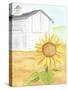 White Barn Sunflower-Cheryl Bartley-Stretched Canvas