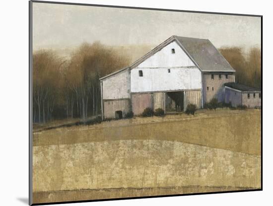 White Barn View I-Tim O'toole-Mounted Art Print