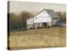 White Barn View I-Tim O'toole-Stretched Canvas