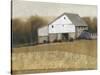 White Barn View I-Tim O'toole-Stretched Canvas