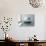 White Bathroom Interior with Concrete Walls and Tiled Floor-PlusONE-Photographic Print displayed on a wall