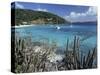 White Bay, Jost Van Dyke, British Virgin Islands, West Indies, Caribbean, Central America-Ken Gillham-Stretched Canvas