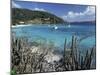 White Bay, Jost Van Dyke, British Virgin Islands, West Indies, Caribbean, Central America-Ken Gillham-Mounted Photographic Print