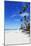 White Beach, Boracay Island, the Visayas, Philippines, Southeast Asia-Christian-Mounted Photographic Print