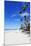 White Beach, Boracay Island, the Visayas, Philippines, Southeast Asia-Christian-Mounted Photographic Print