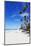 White Beach, Boracay Island, the Visayas, Philippines, Southeast Asia-Christian-Mounted Photographic Print