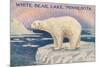 White Bear Lake, Minnesota-null-Mounted Premium Giclee Print