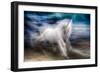 White Beauty-Ursula Abresch-Framed Photographic Print