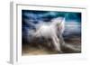 White Beauty-Ursula Abresch-Framed Photographic Print