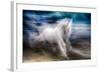 White Beauty-Ursula Abresch-Framed Photographic Print