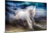 White Beauty-Ursula Abresch-Mounted Photographic Print