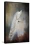 White Beauty-Jai Johnson-Framed Stretched Canvas