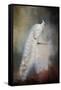 White Beauty-Jai Johnson-Framed Stretched Canvas