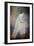 White Beauty-Jai Johnson-Framed Premium Giclee Print